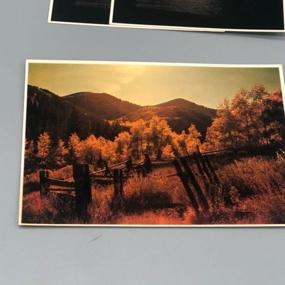 vintage set of 5 post cards San Fransico bridge pike place fish farmers READ - Picture 3 of 10